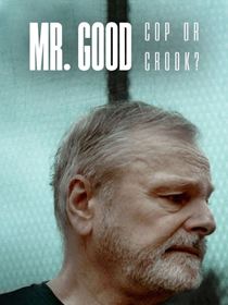 Mr. Good : Flic ou baron ? saison 1